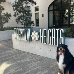 Instagram post from @magnoliaheightsapts on August 04, 2025 18:51:00pm